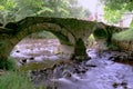 Pack horse bridge Wycoller.